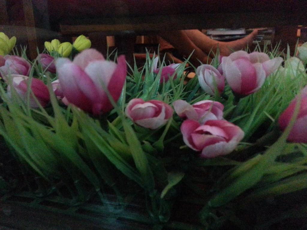 Pink Tulip Hotel Хошимін Екстер'єр фото