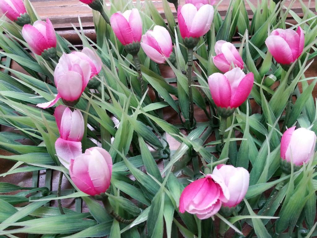 Pink Tulip Hotel Хошимін Екстер'єр фото